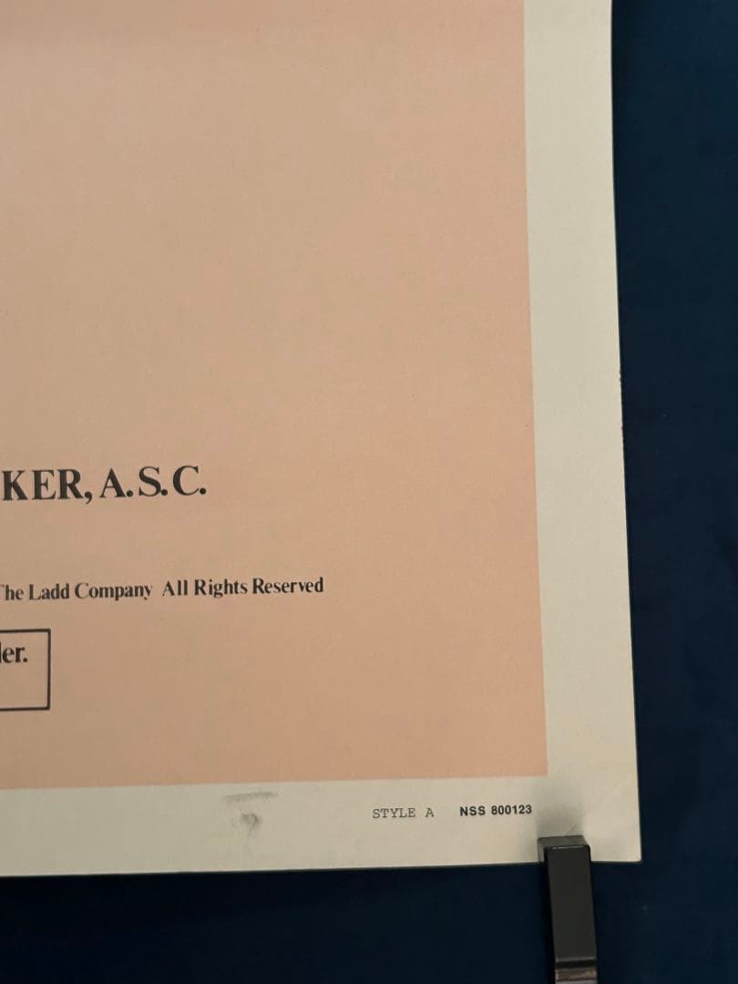 ディヴァイン・マッドネス　USオリジナル映画ポスター