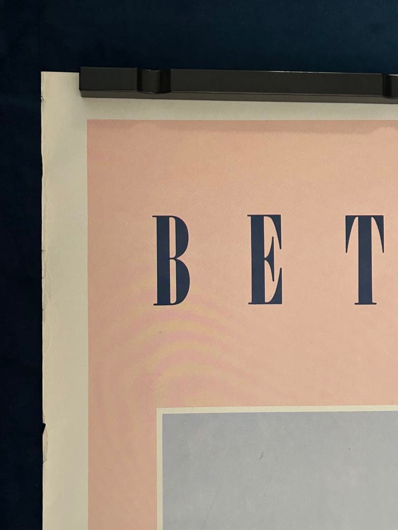 ディヴァイン・マッドネス　USオリジナル映画ポスター