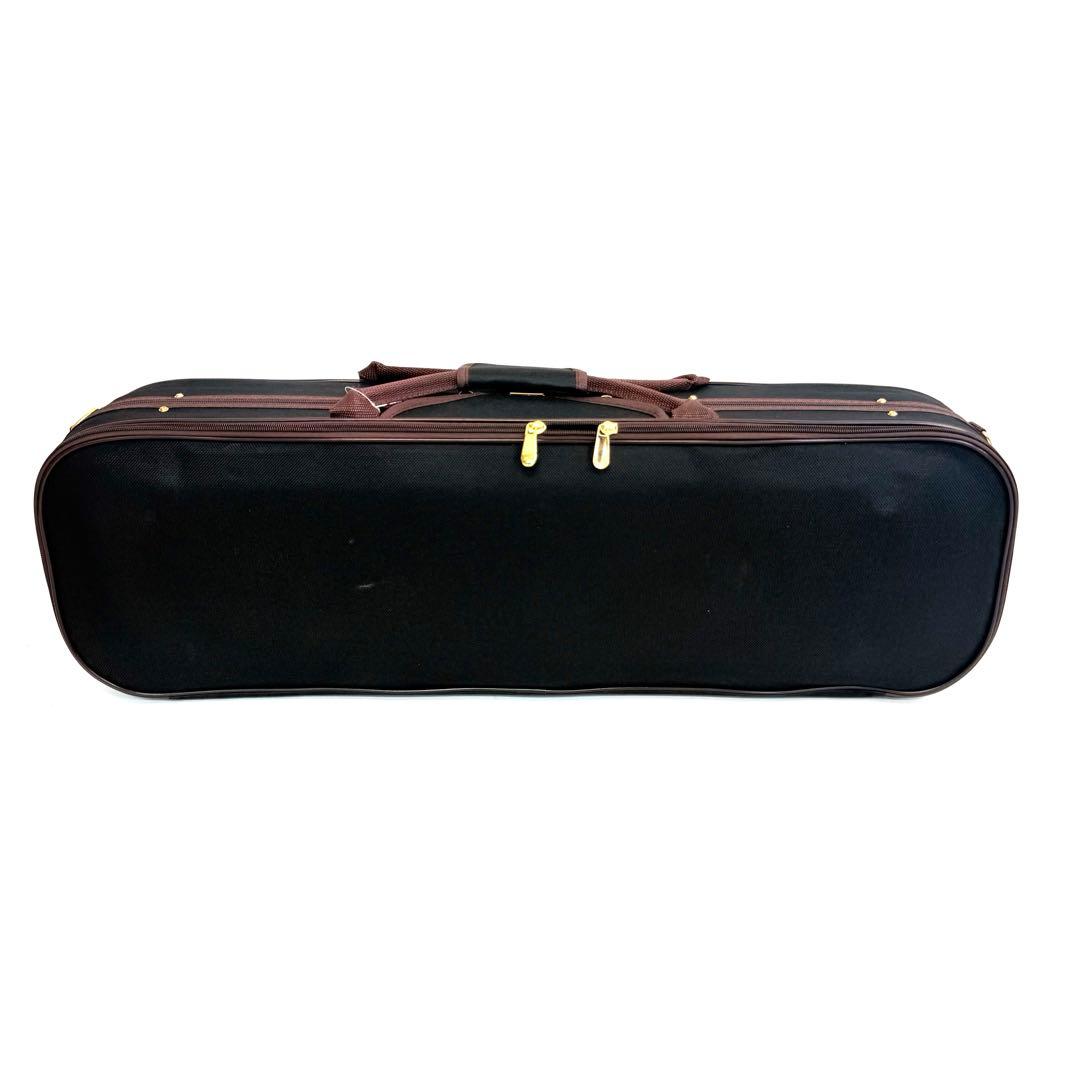 【希少】Alessandro Galiano Alomnus ヴァイオリン