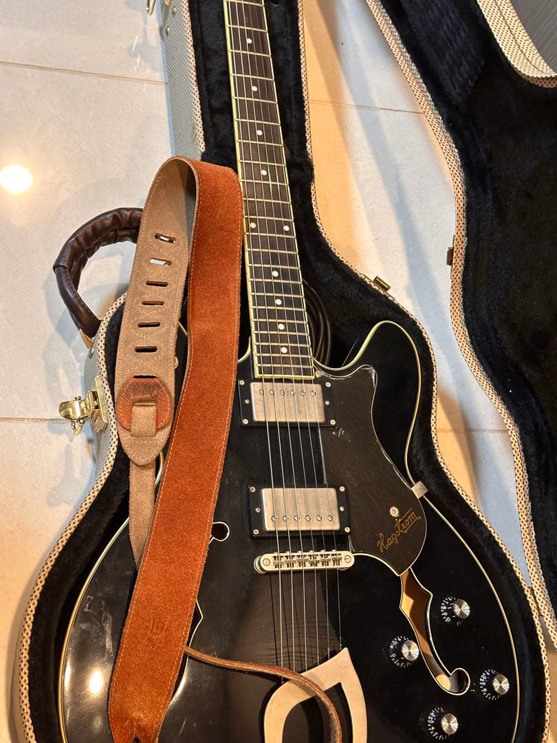 Hagstrom Viking セミアコギター＋ハードケース