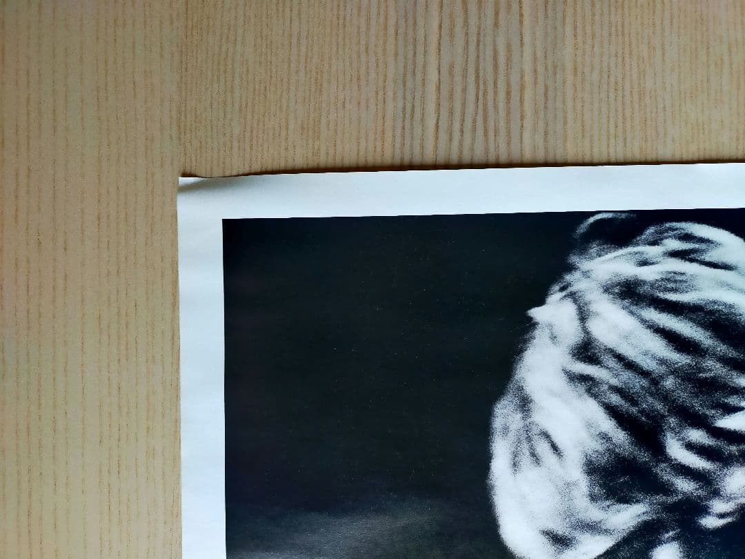 NIRVANA ポスター