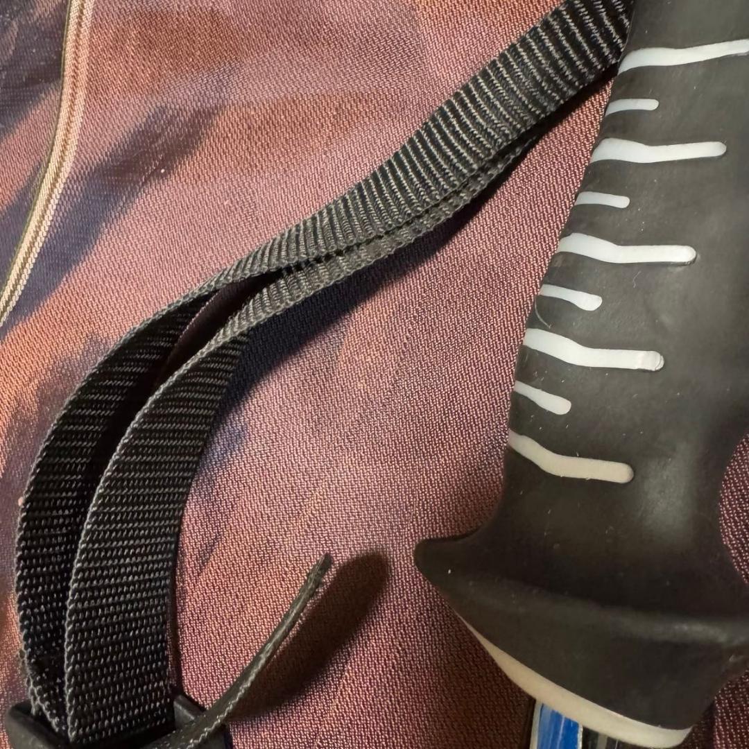 SALOMON サロモン 伸縮式 スキーストック 100-123cm カーボン