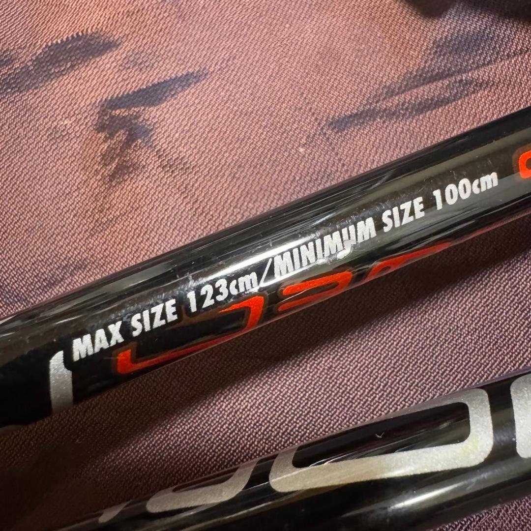 SALOMON サロモン 伸縮式 スキーストック 100-123cm カーボン