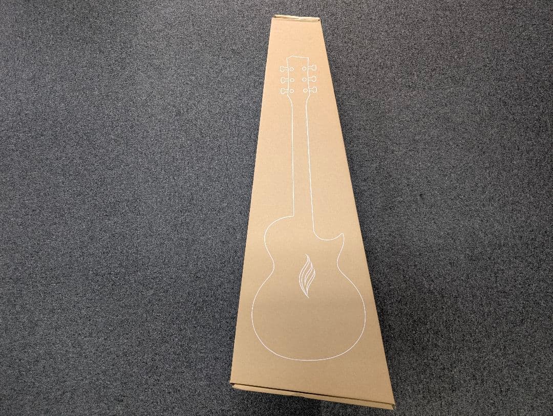 ENYA NOVA GO/SP1 エレアコ お得です！