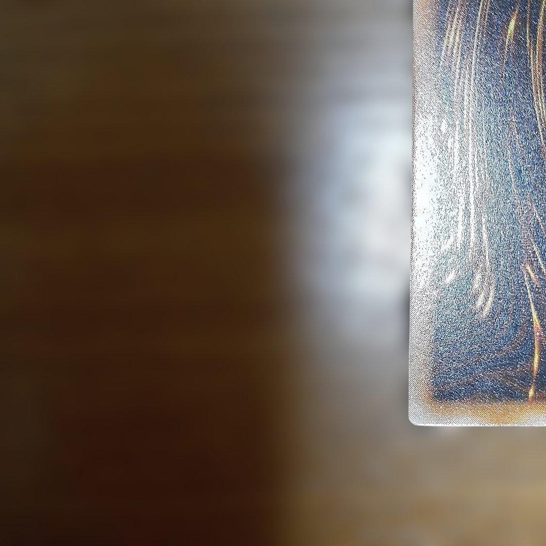 遊戯王　ブラックデーモンズドラゴン　レリーフ