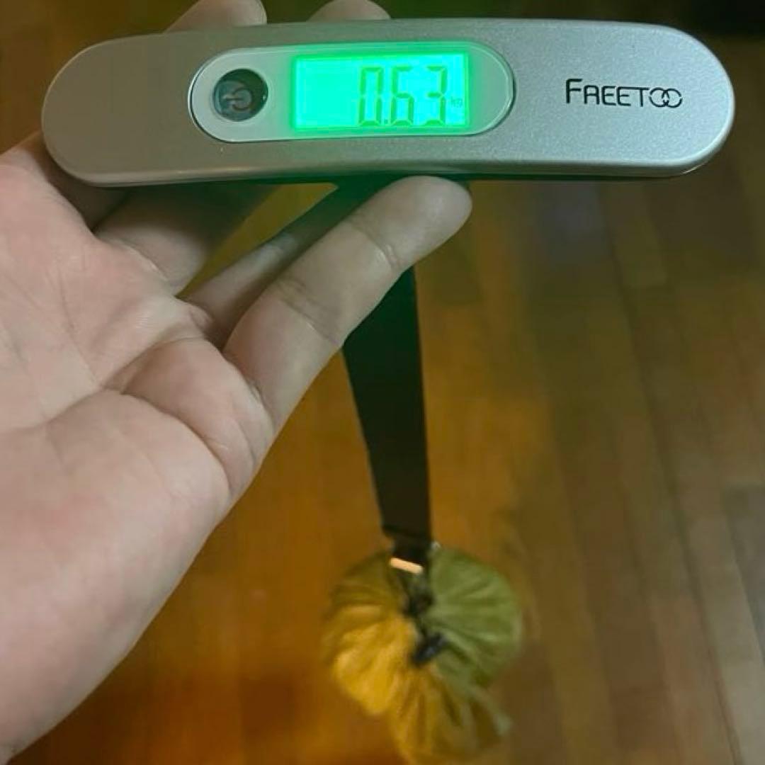 アライテント　RIPEN DXフライシートのみ　Ｘ-RAIZ 2