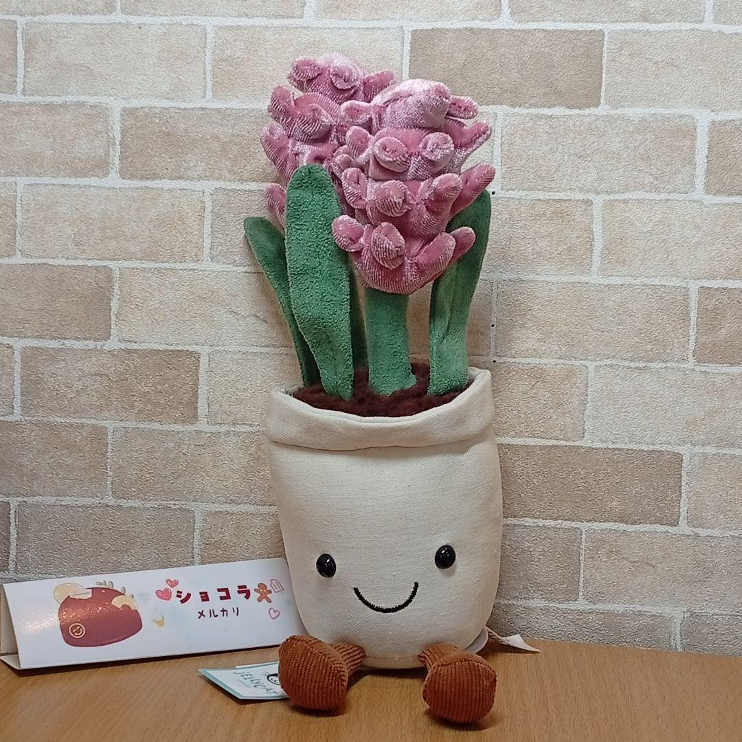  Hyacinth ジェリーキャット　ヒヤシンス お花　花植木鉢
