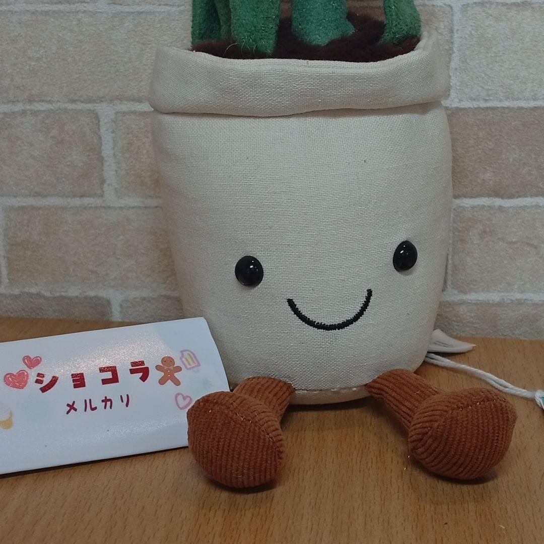  Hyacinth ジェリーキャット　ヒヤシンス お花　花植木鉢