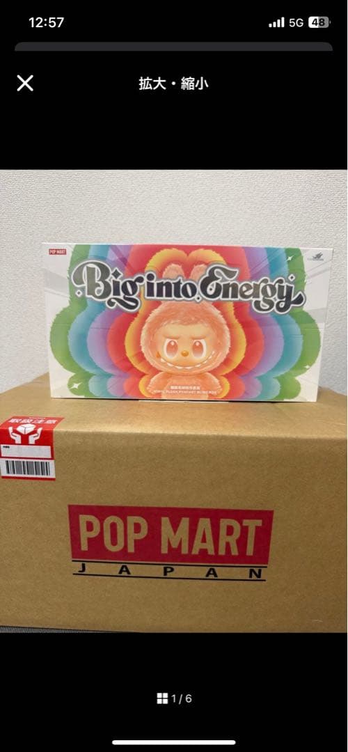 【未開封/正規品】ラブブ Big into Energy アソートボックス