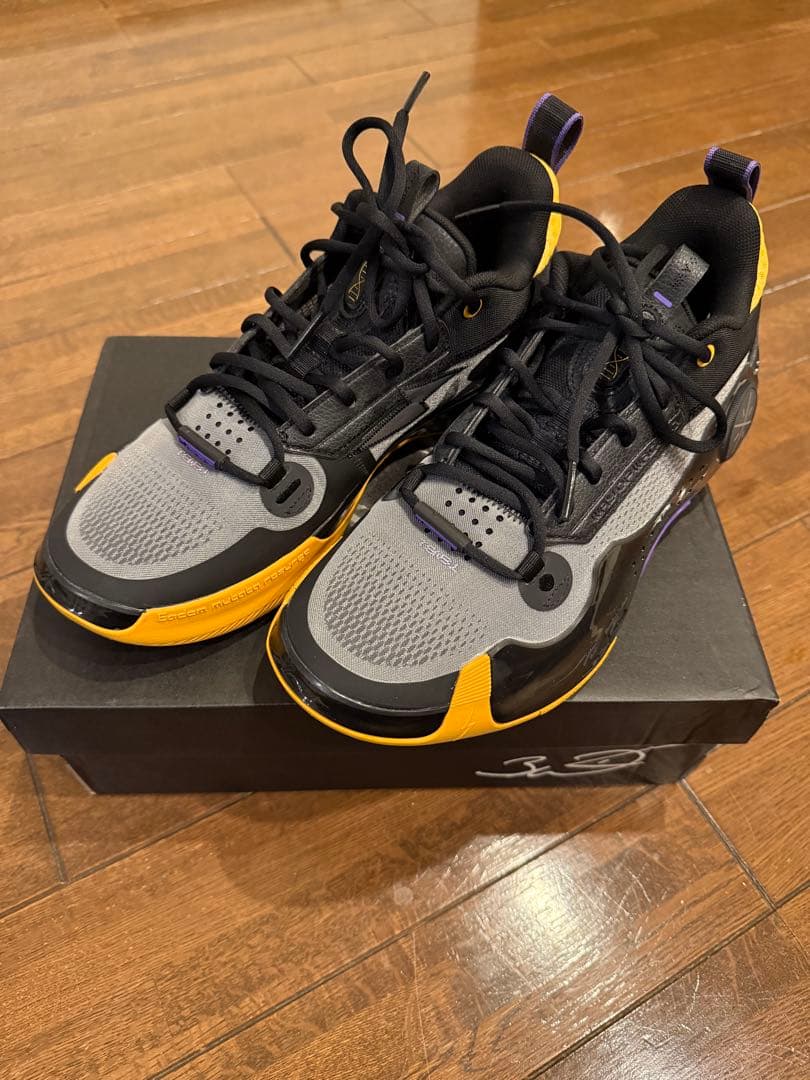 リーニン　WAY OF WADE 10 27cm ほぼ新品