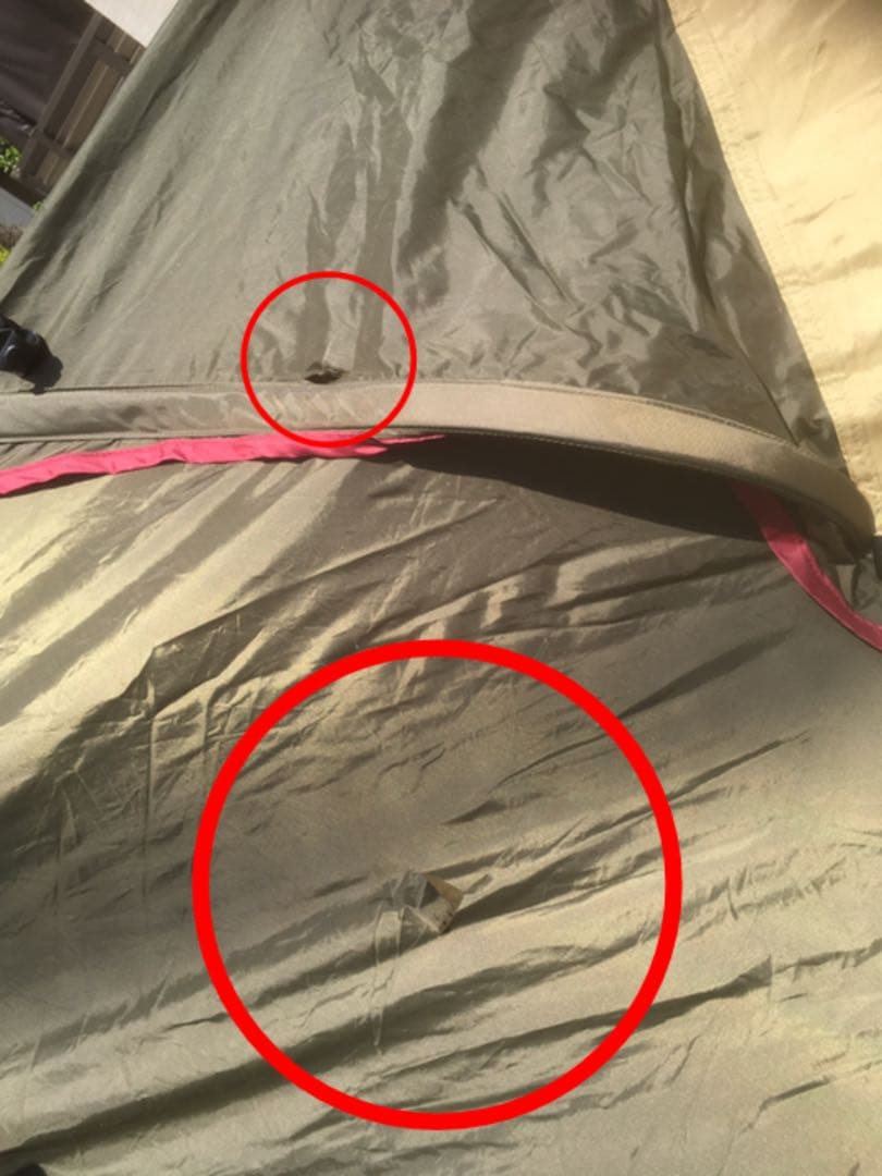 ogawa シュナーベル５　廃盤