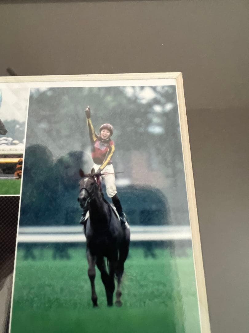 ☆競馬☆　ORFEVRE　オルフェーヴル　三冠馬　 記念パネル　池添謙一騎手