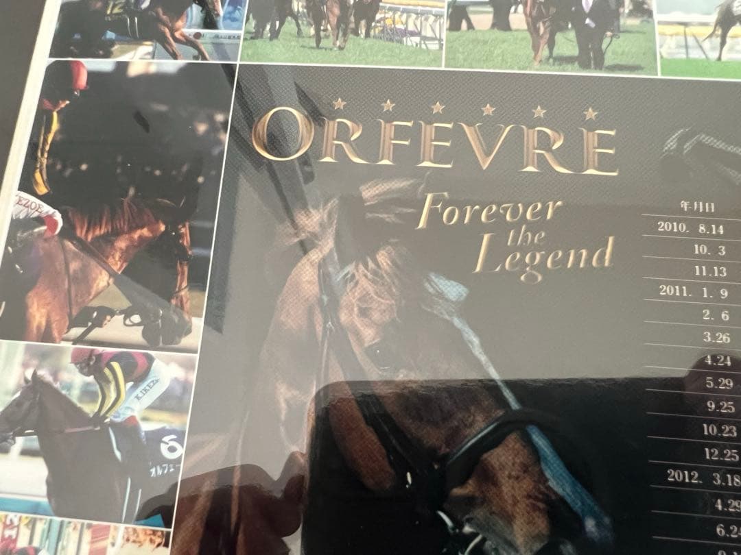 ☆競馬☆　ORFEVRE　オルフェーヴル　三冠馬　 記念パネル　池添謙一騎手
