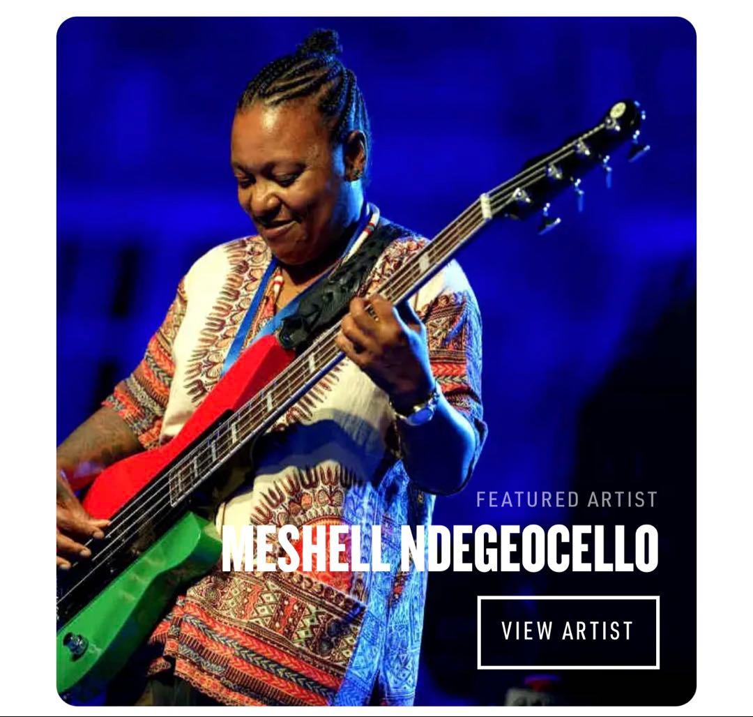 ベース Reverend Guitars MESHELLNDEGEOCELLO bass