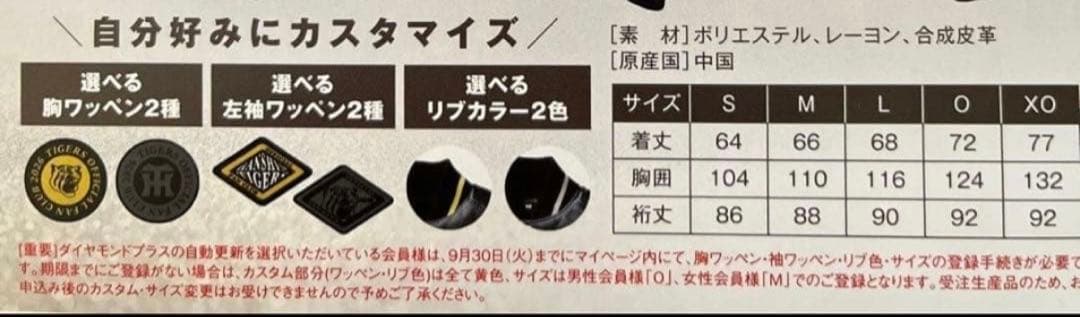 阪神タイガース【プラス会員限定】セミオーダースタジアムジャンパー