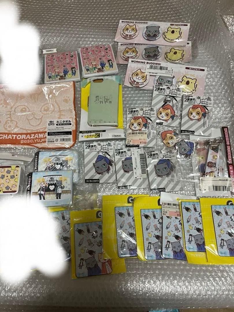 働くお兄さん！　色紙　クエ彦　タピオ　富田健太郎　溝口琢矢　セット　大量