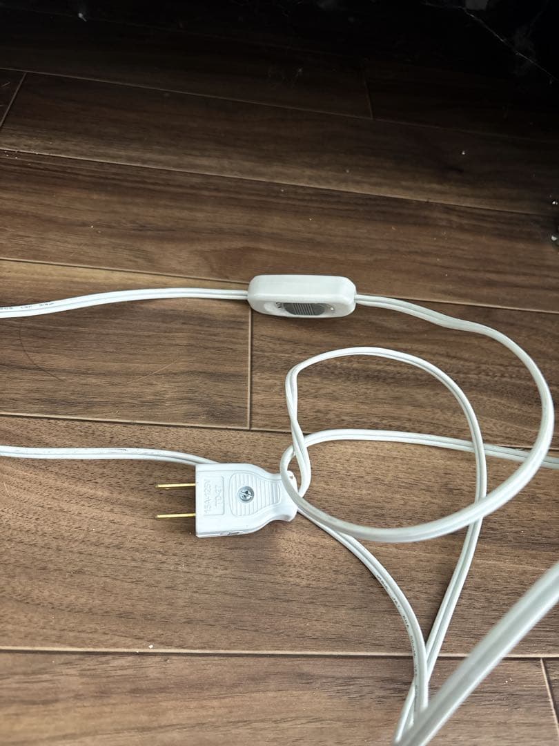 フランスアンティーク　ウォールランプ　2灯　キャンドルソケットカバー　壁掛け