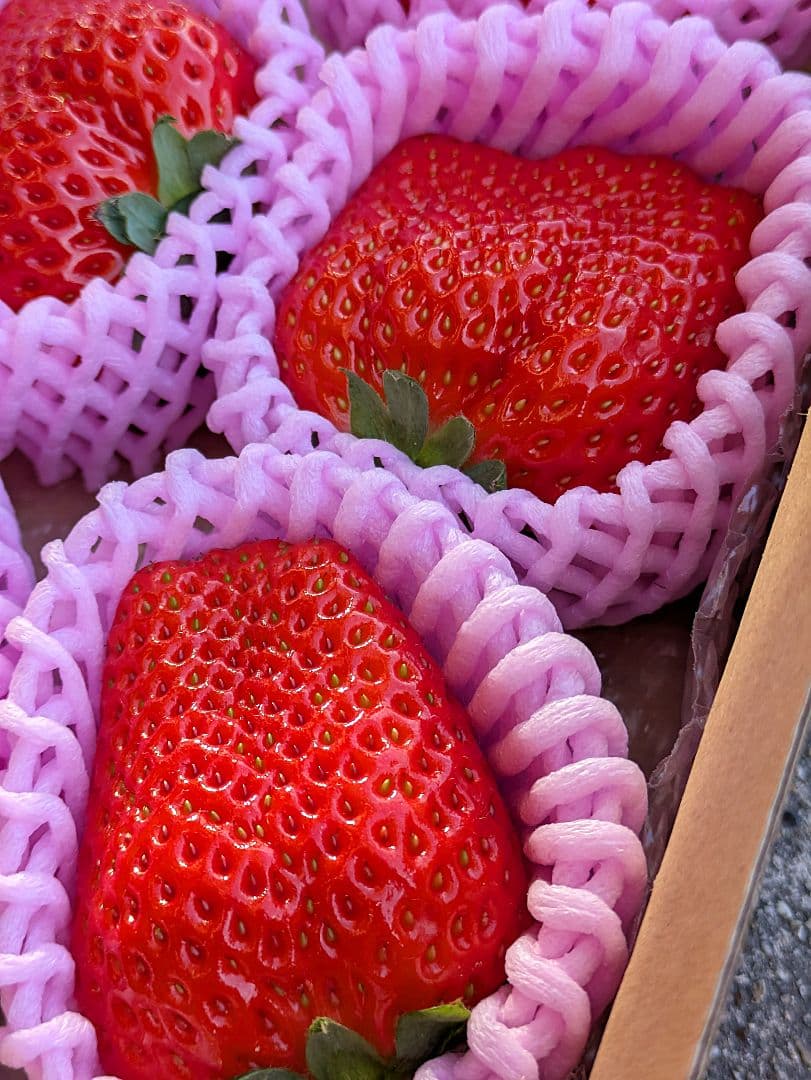 Wines' K♡12日発送♡かおり野⑥♡