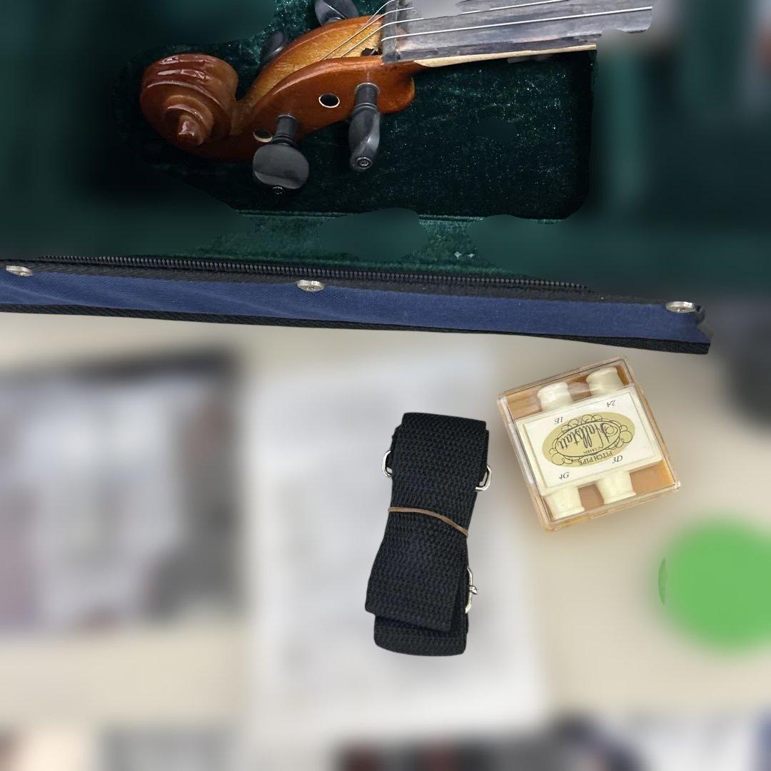 hallstatt ハルシュタット エレキバイオリン CV-210E