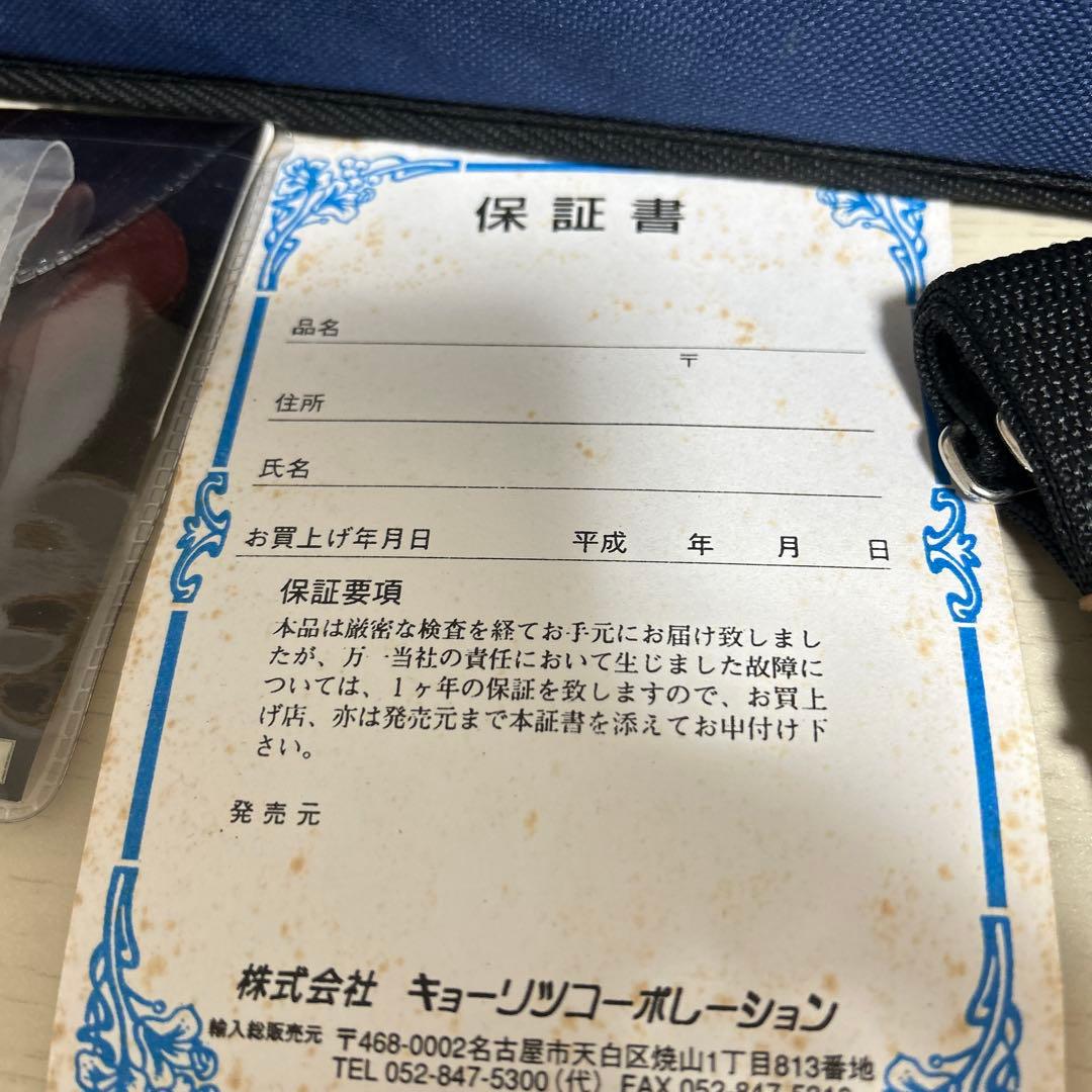 hallstatt ハルシュタット エレキバイオリン CV-210E