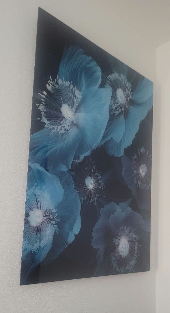 Yellow Korner　Fleurs De Pavot　60×80