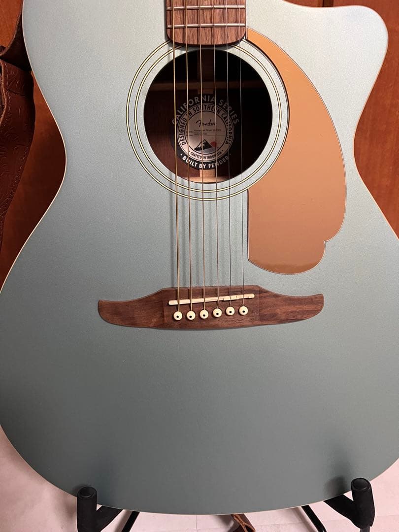Fender NewporterアコースティックギターTidepool