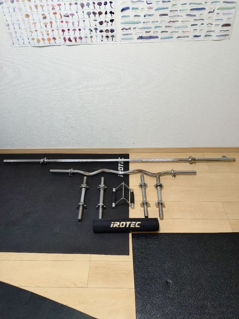 IROTEC アイロテック　ダンベルプレート　シャフト　ベンチ　懸垂スタンド