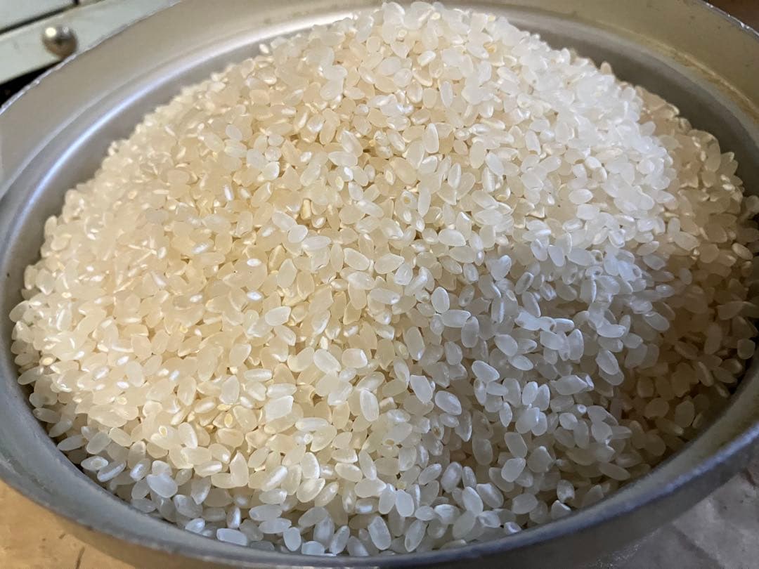 令和7年産【丹波篠山コシヒカリ】白米10kg 7年産も極上米/食味値87点