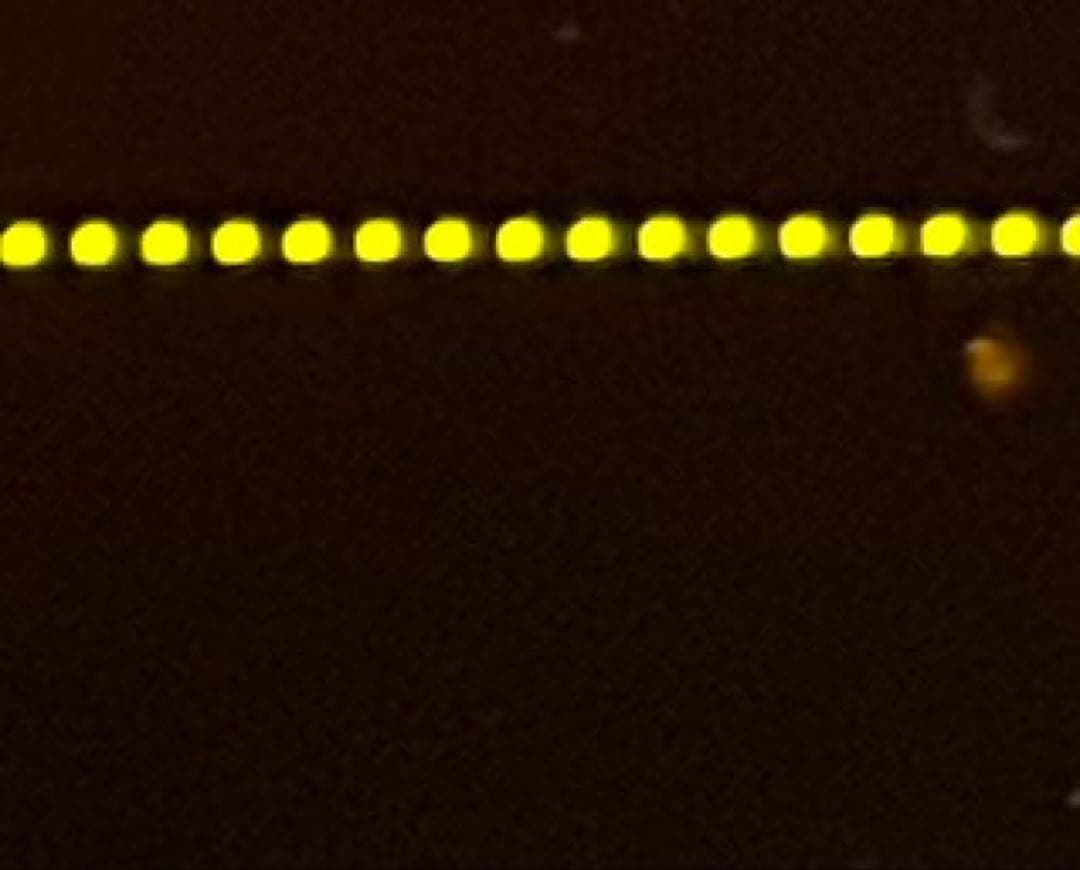 Orthogonal Devices ER-301 rev.10モジュラーシンセ