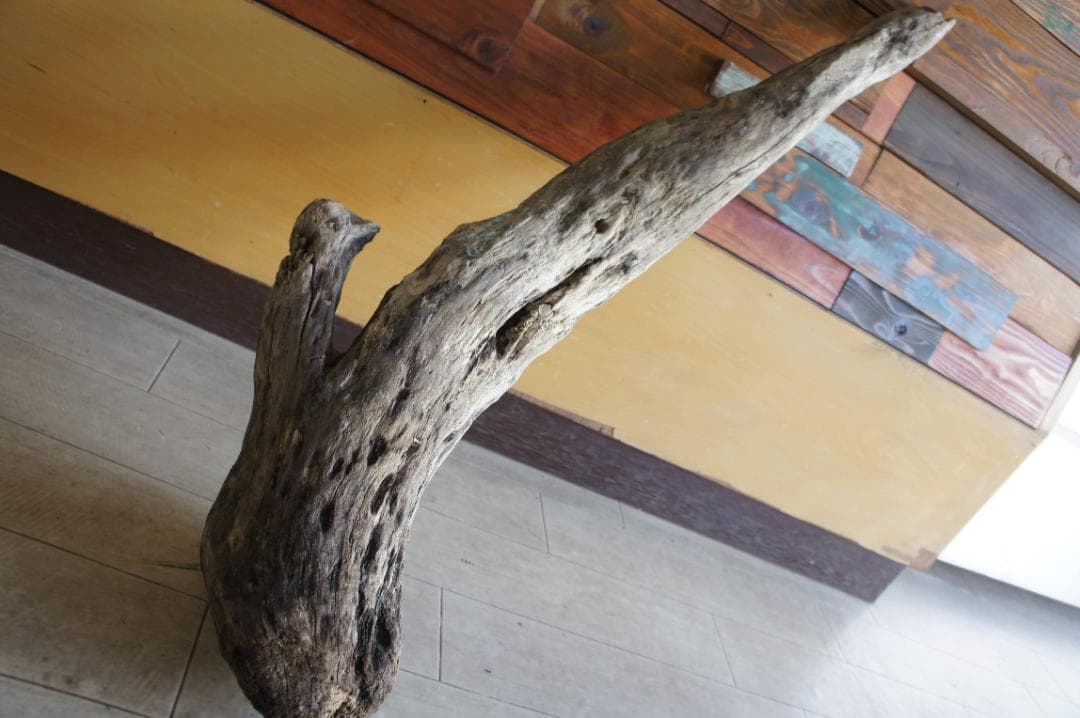 流木 インテリア 大型サイズ オブジェ ケージ 登り木 爬虫類 小動物 送料無料