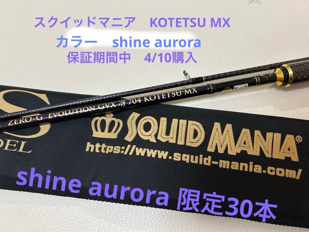 ZERO-G EVOLUTION GVX冴704 KOTETSU MX30本限定