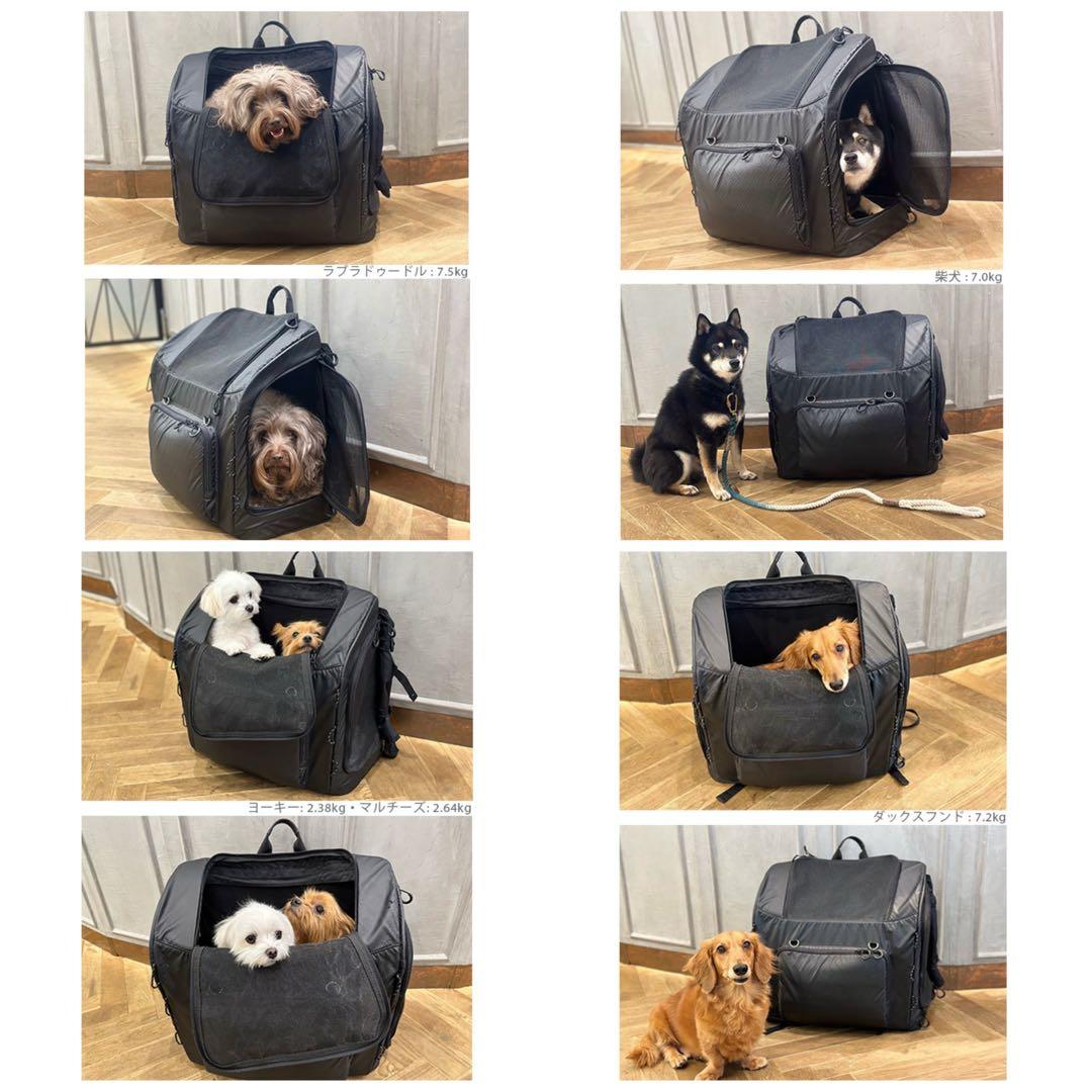 AIRBUGGY キャリーバッグ ★クッションと取扱説明書付き3WAY WIDE