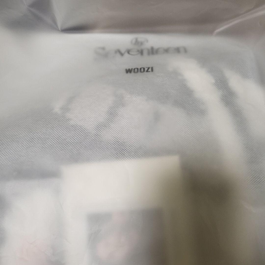 SEVENTEEN　アーティストメイド　WOOZI