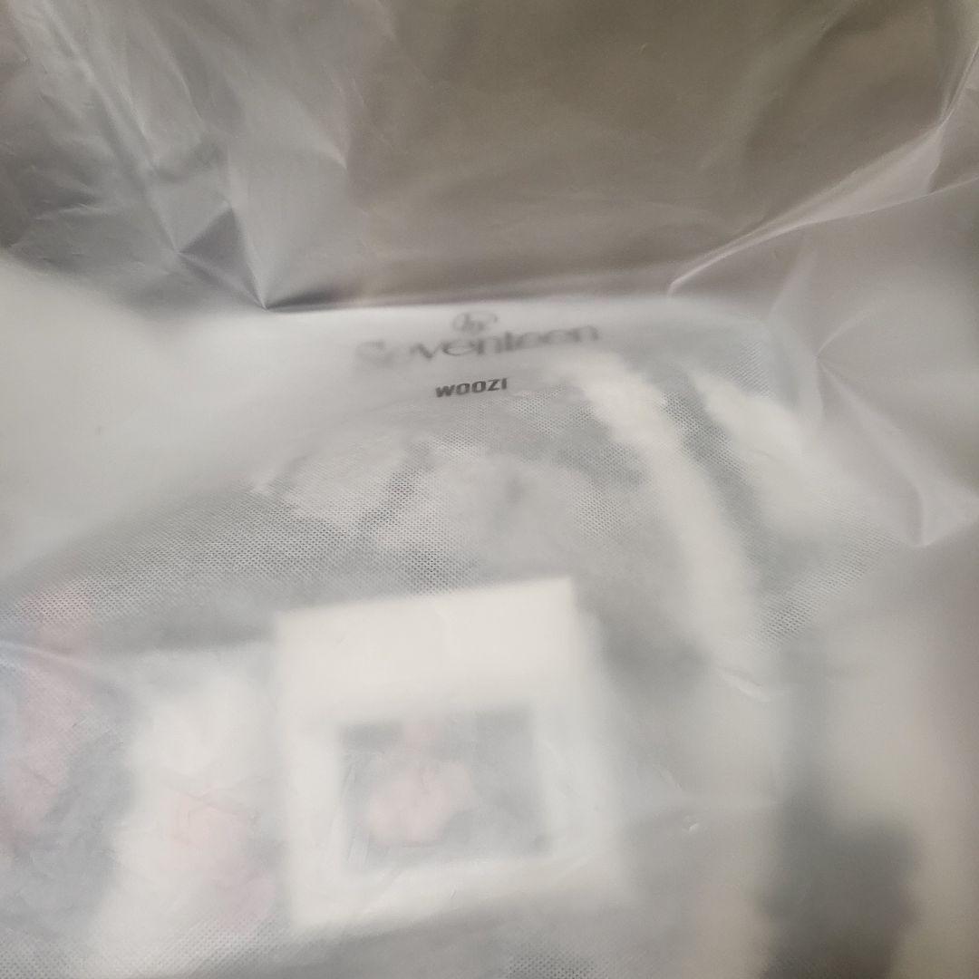 SEVENTEEN　アーティストメイド　WOOZI