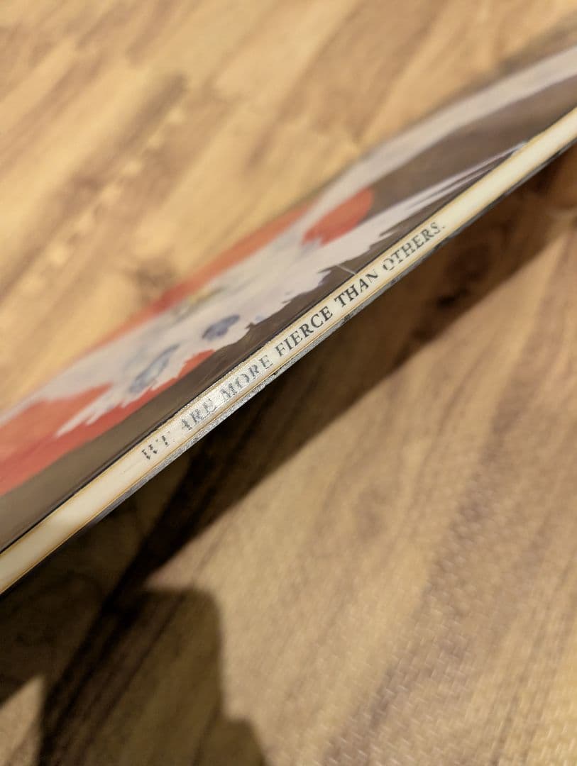 CAPITA レディース版　DOA birds of a feather 142