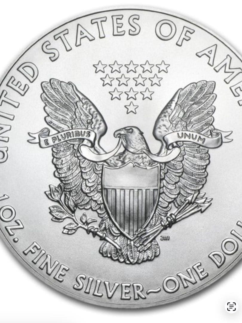 2020年　アメリカ　イーグル銀貨　1オンス　純銀　現物資産