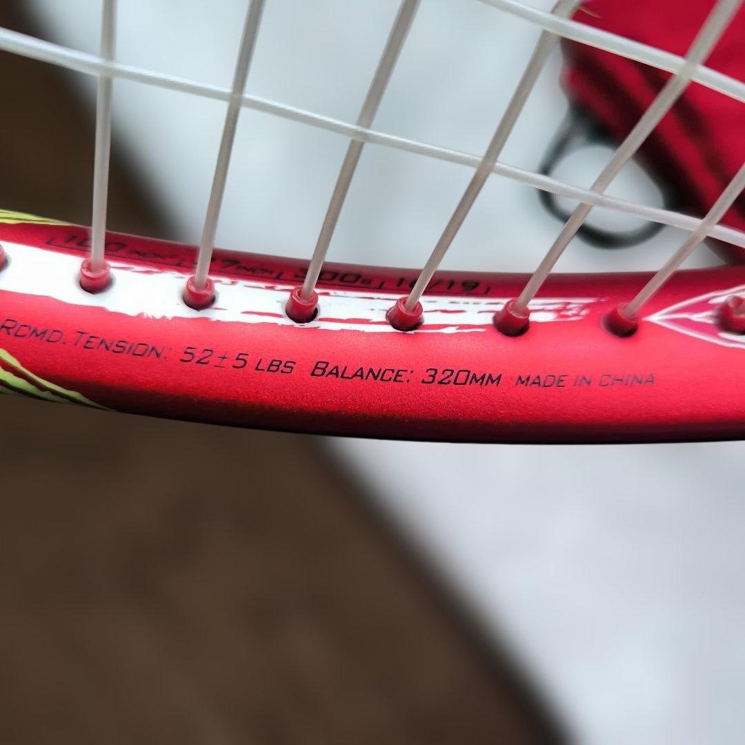 BRIDGESTONE X-BLADE VI-R 300 G2 2016 ケース