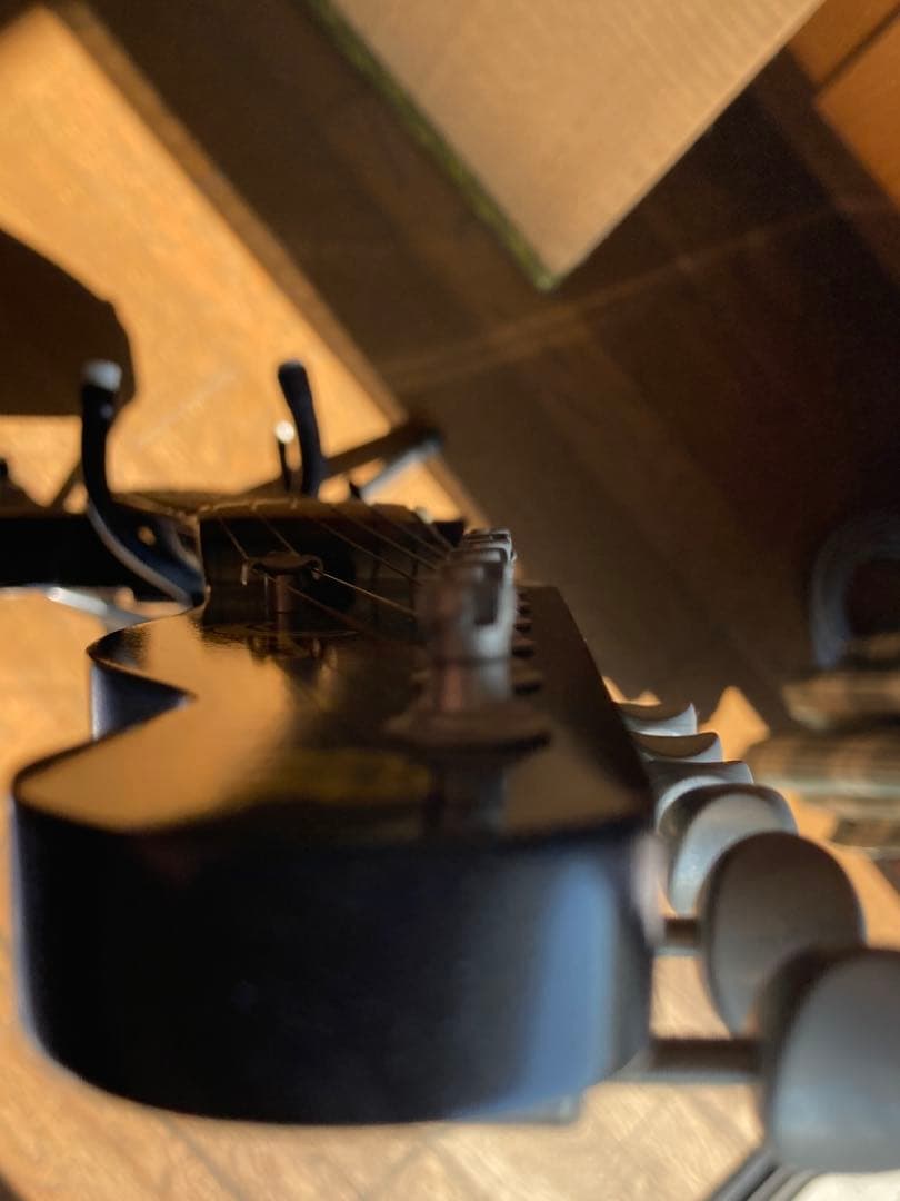 ムーン　レゲエマスター　超美品　レアなミディアムスケール　MOON専用ケース付き