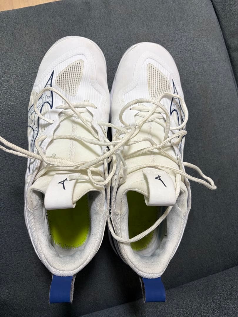 Mizuno バレーボールシューズ ウエーブモーメンタム3 28.5cm