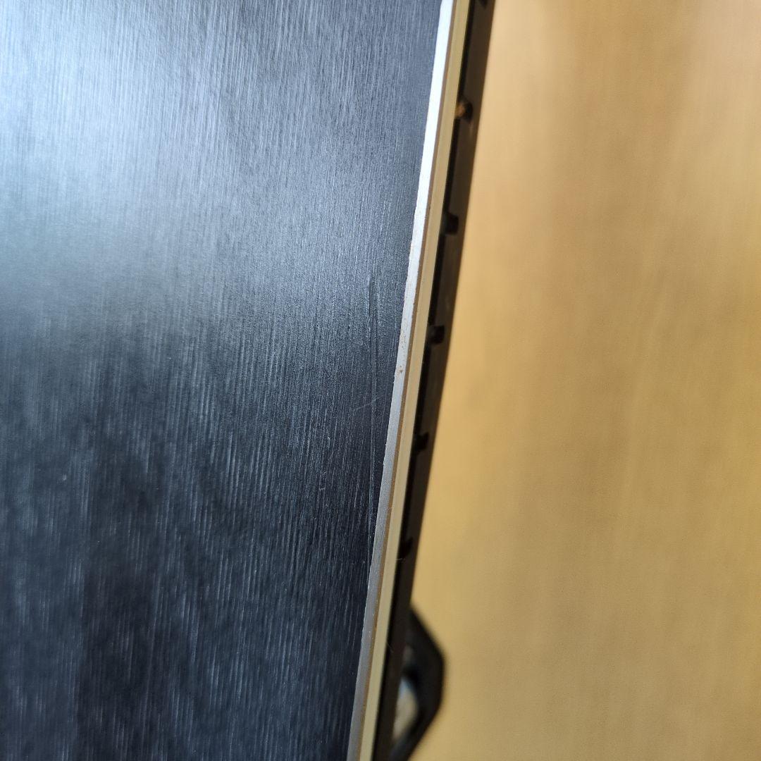 ROSSIGNOL ロシニョール GS 170cm スキー