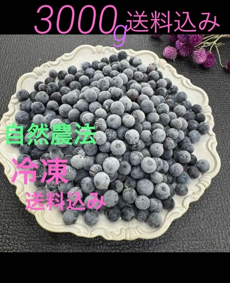ハニー農園　冷凍ブルーベリー　　３キロ
