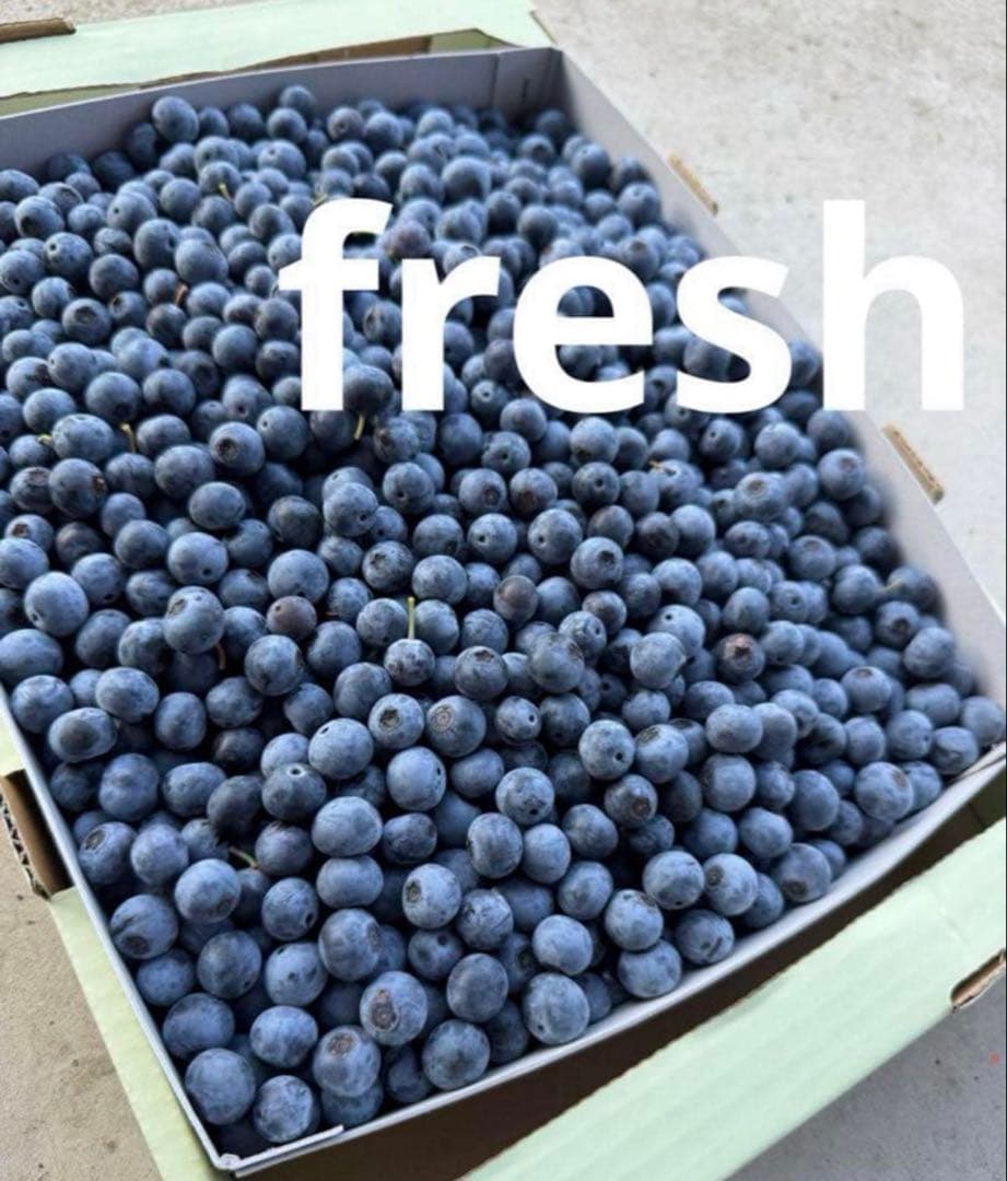 ハニー農園　冷凍ブルーベリー　　３キロ