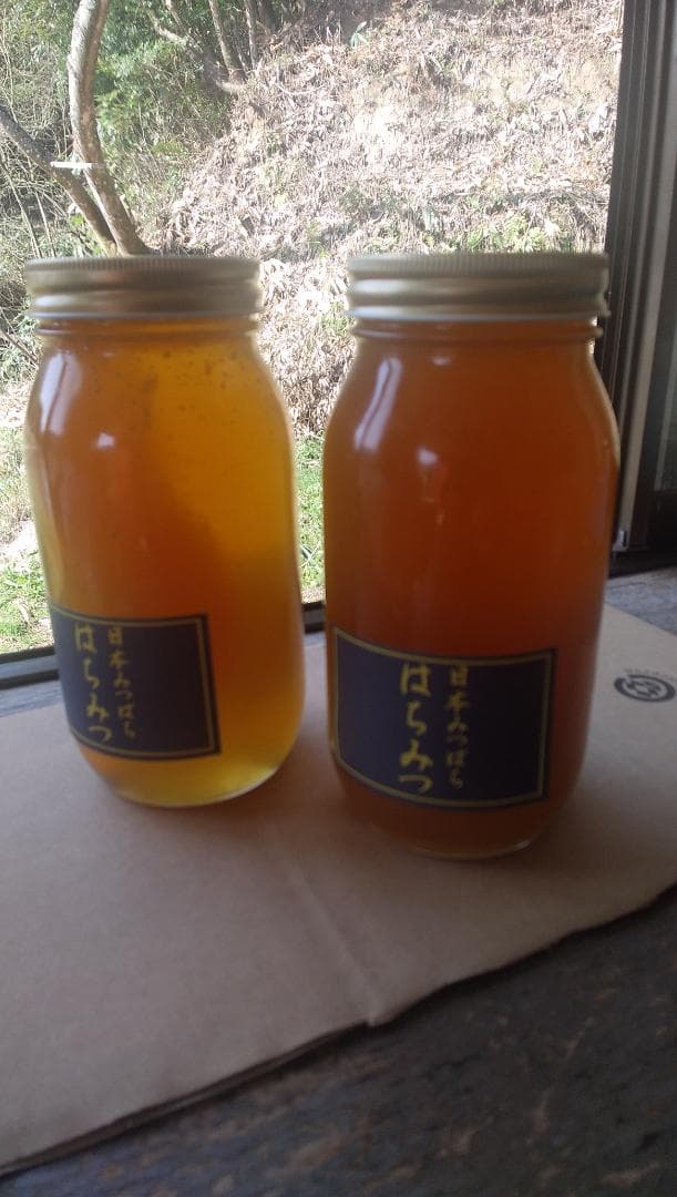 日本ミツバチ百花蜜　1000ｇ２本