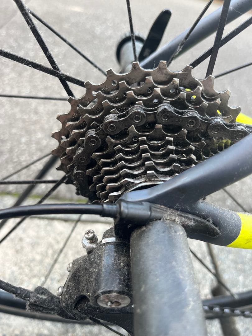 雪蕾 Cannondale SuperSix EVO Carbon