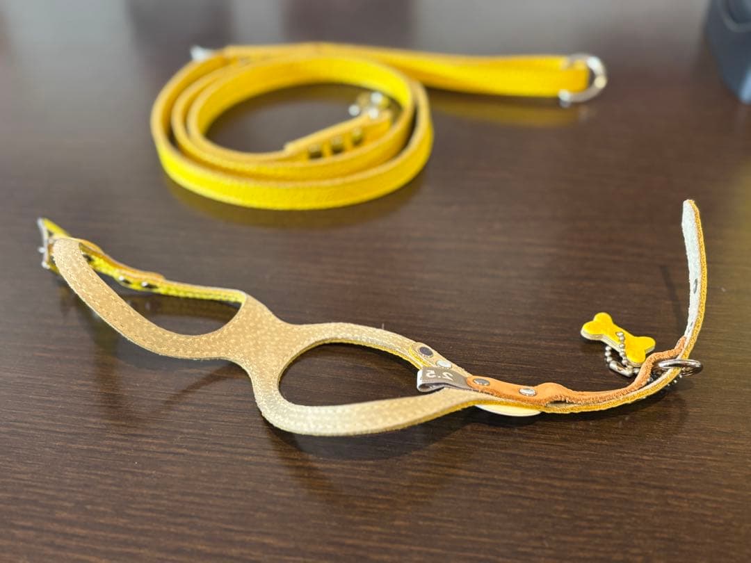 バディベルト2.5号&オールレザーリードセット(canary)