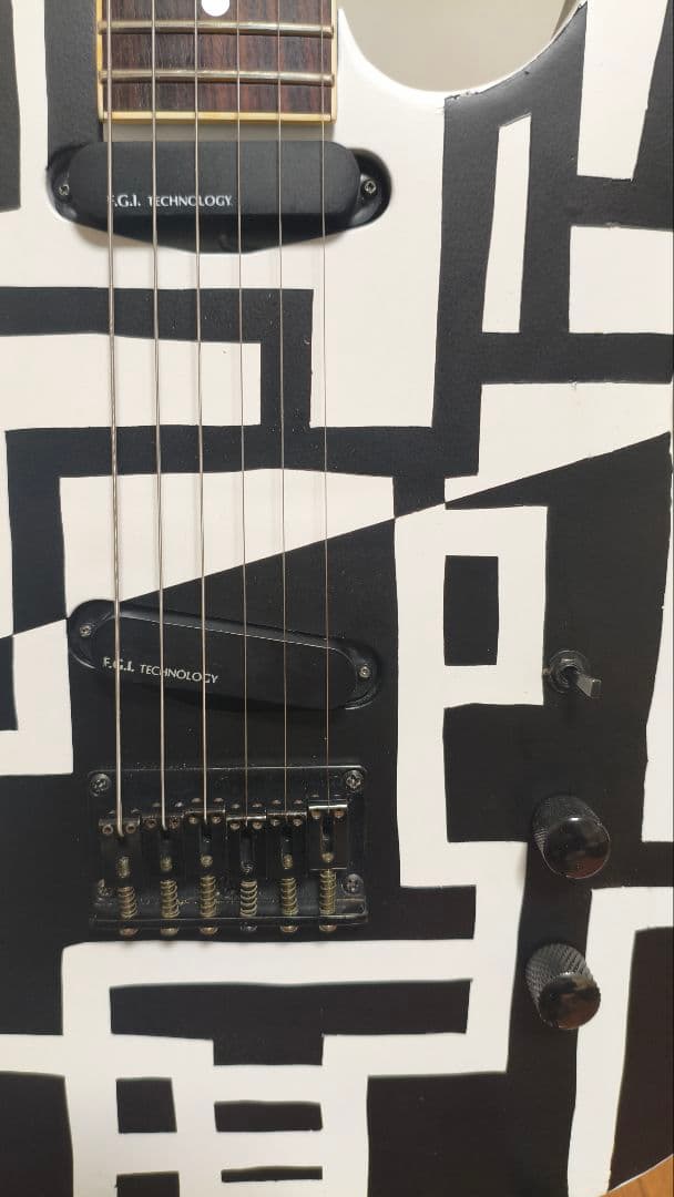 FERNANDES　TEJ-HOTEI　BLACK&WHITE　電子部品なし