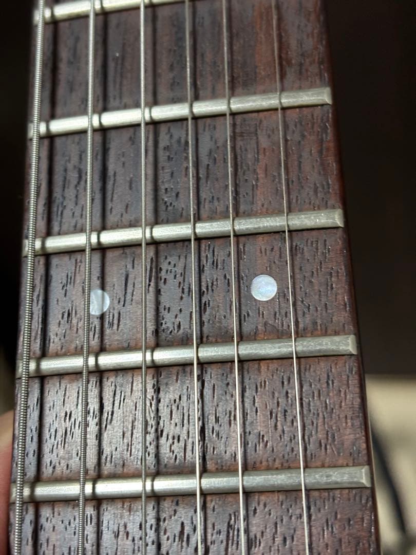 フェルナンデス FR-75 ジャンク 部品取り