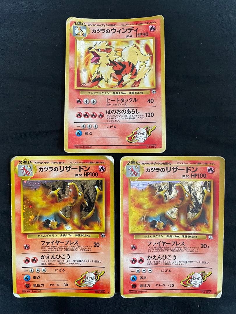 カツラのリザードン2枚セット カツラのウィンディ1枚