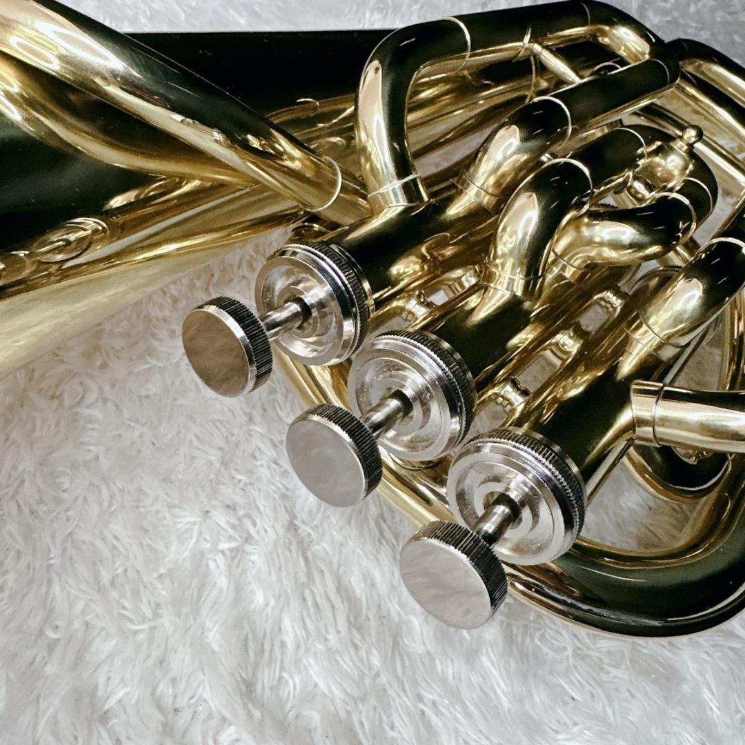 激レア 美品 バリトンホルン 管楽器 吹奏楽 ブラスバンド ハードケース