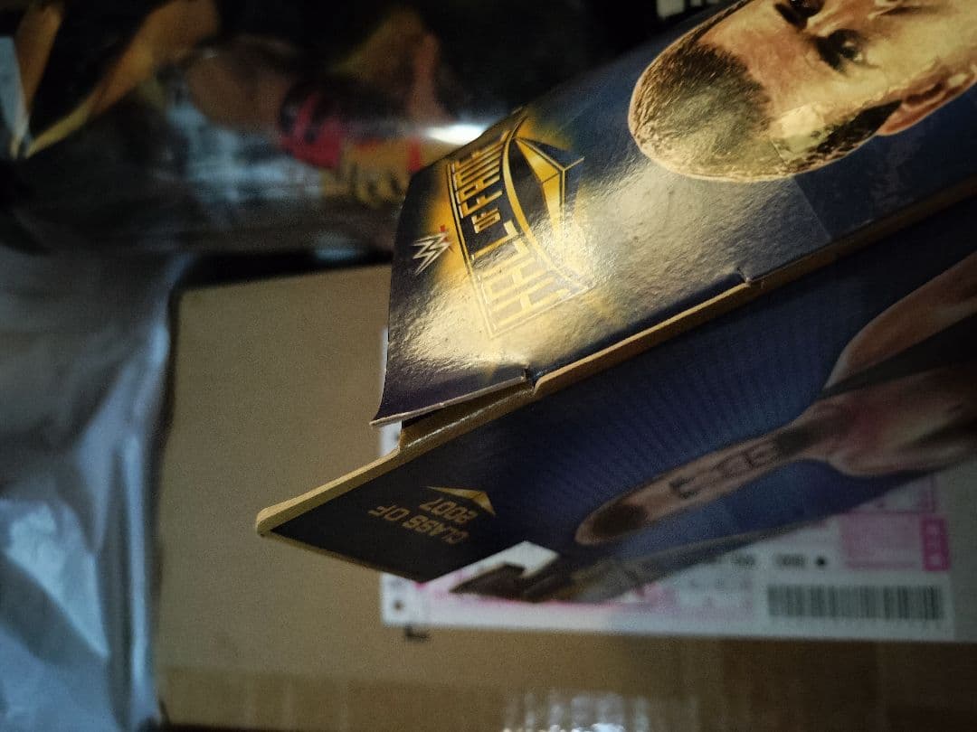 激レア！　WWE　ジェリー・ローラー　１期　MATTLE　マテル